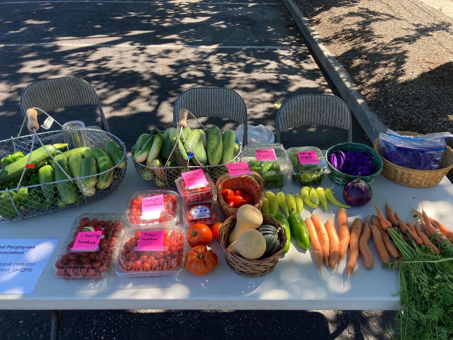 After a successful farm stand fundraiser last year that culminated in a donation of over $600 to a porphyria organization, Morgan McKillop and her family decided to host another sale of their homegrown vegetables.